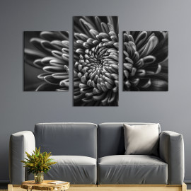 Картина триптих Пелюстки хризантеми 96x60 см (791-32)