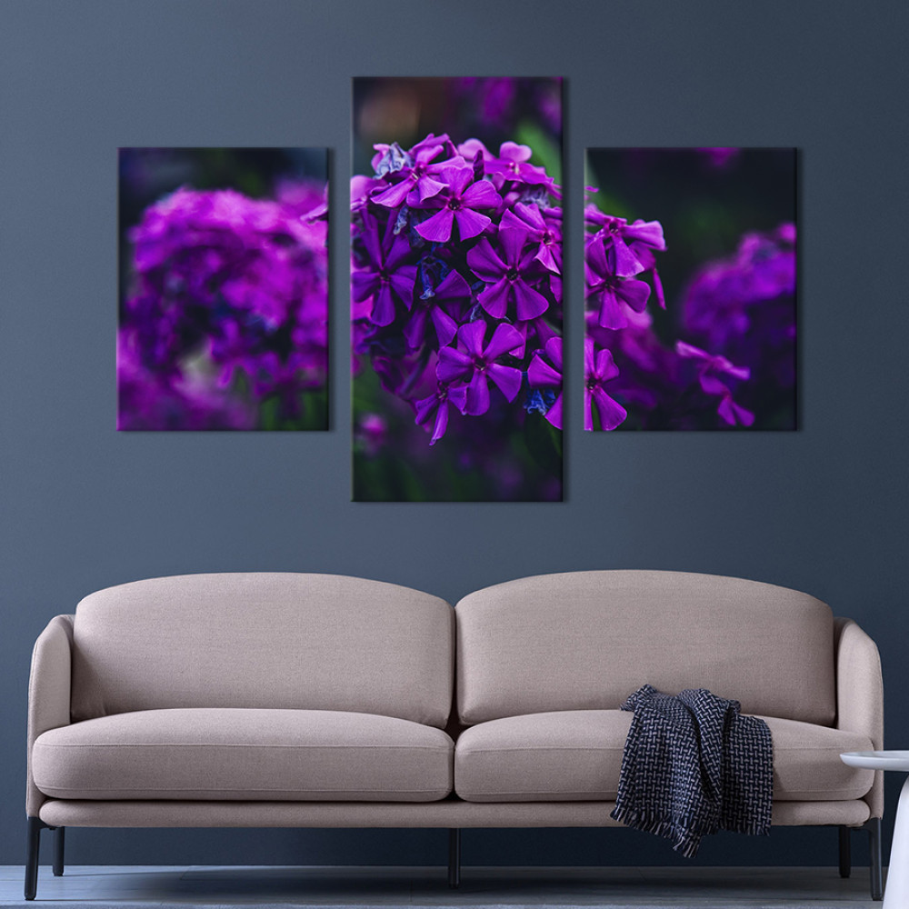 Картина триптих Ароматні квіти флокси 66x40 см (897-32)