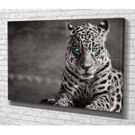 Картина Блакитноокий ягуар 51x34 см (524)