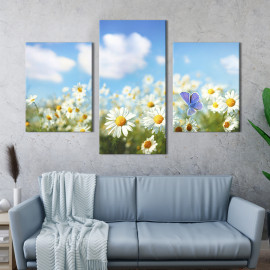 Картина Тендітна ромашка 66x40 см (260-32)