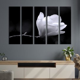 Картина Витончена магнолія 87x50 см (227-51)