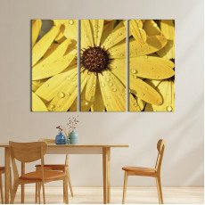 Квіти
