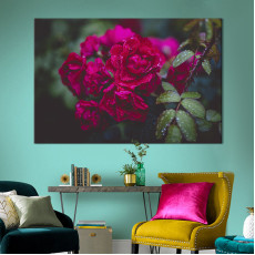 Квіти