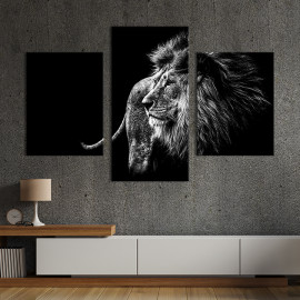 Картина Король Африки лев 66x40 см (160-32)