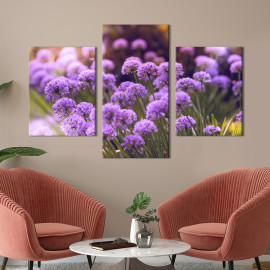Картина триптих Красива декоративна цибуля 66x40 см (958-32)