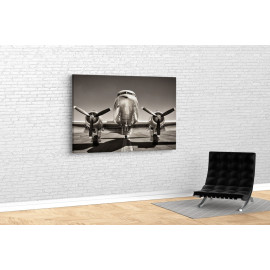 Картина Блискучий літак 51x34 см (709)