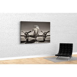 Картина Блискучий літак 51x34 см (709)