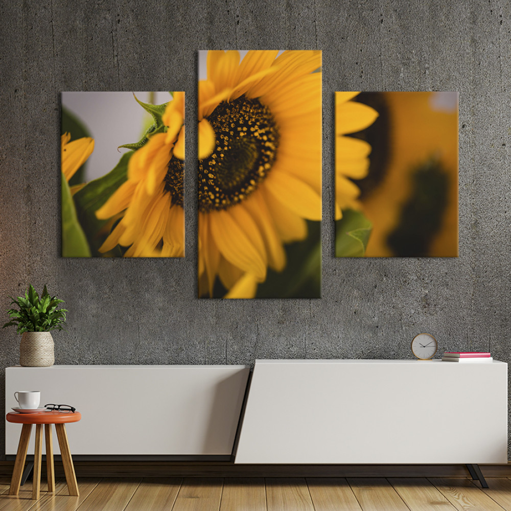 Картина триптих Прекрасна квітка соняшника 66x40 см (961-32)