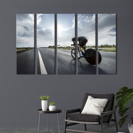 Картина Велоспорт 87x50 см (498-51)