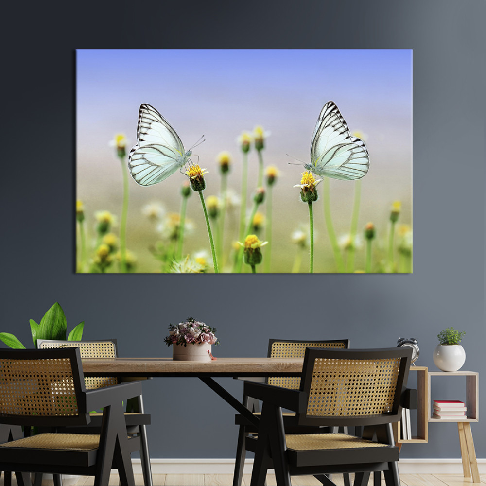 Картина тварини Смугасті альбатроси 51x34 см (1750-1)