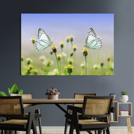 Картина тварини Смугасті альбатроси 51x34 см (1750-1)