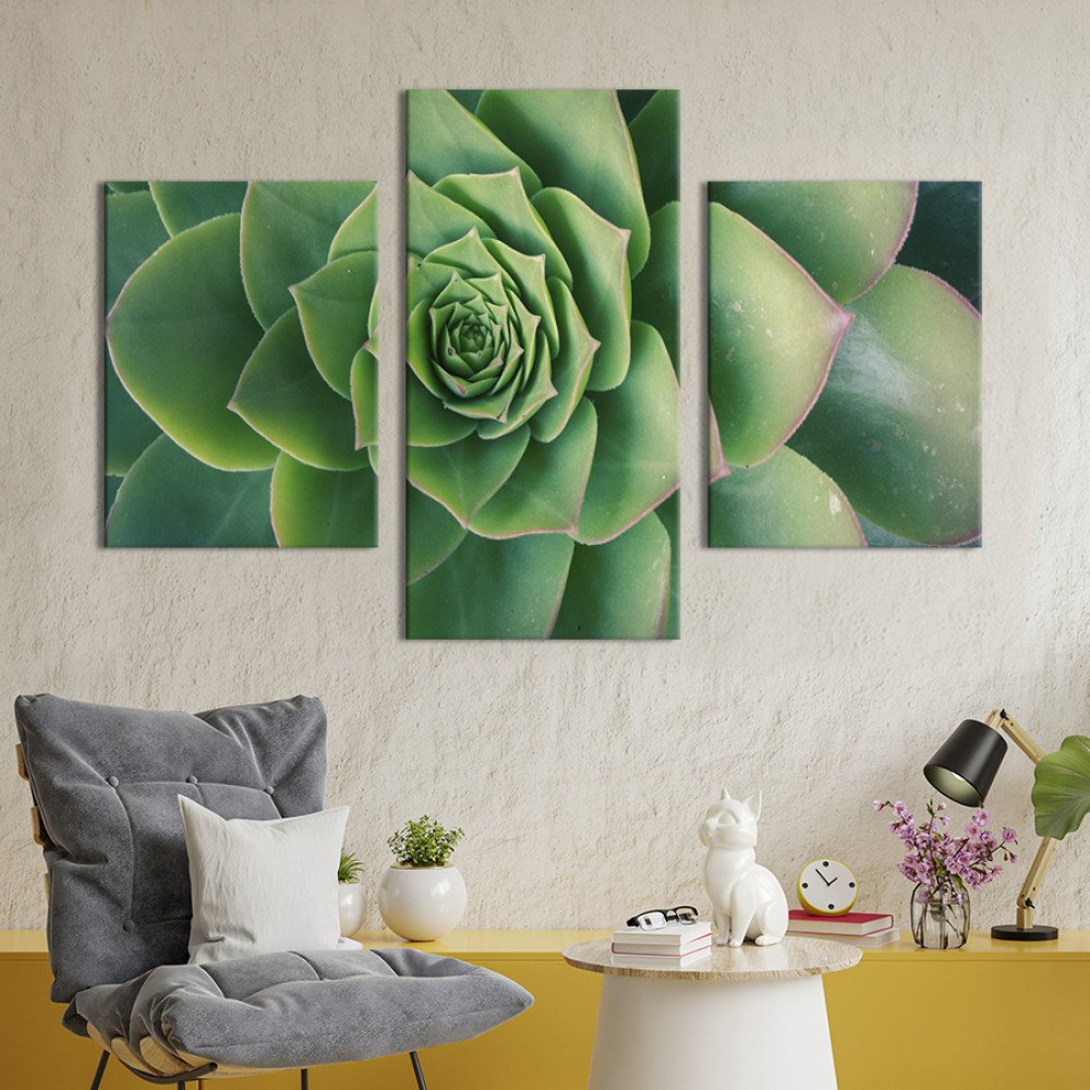 Картина триптих Витончений сукулент 96x60 см (879-32)