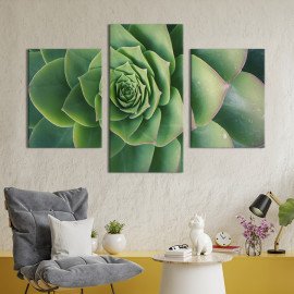 Картина триптих Витончений сукулент 66x40 см (879-32)
