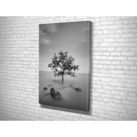 Картина Самотнє дерево 51x34 см (793)