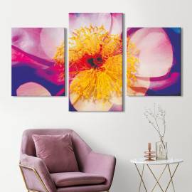 Модульна картина з 3 частин на полотні триптих Квіти Рожева квітка 66x40 см (MK322017)