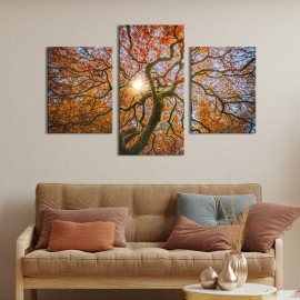 Картина Красива крона клена 66x40 см (612-32)