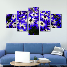 Квіти