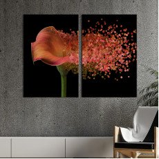 Квіти