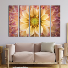Картина Прекрасна хризантема 87x50 см (251-51)