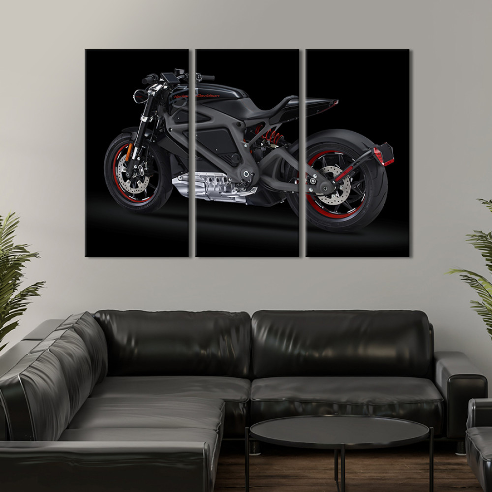 Картина Граціозний мотоцикл Harley-Davidson 78x48 см (1328-31)