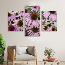 Картина триптих Красиві квіти ехінацеї 66x40 см (898-32)