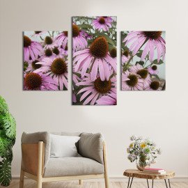 Картина триптих Красиві квіти ехінацеї 66x40 см (898-32)