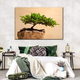 Картина Бонсай 51x34 см (12)