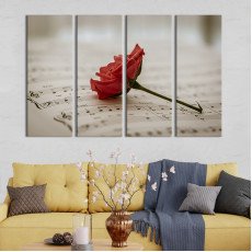 Квіти