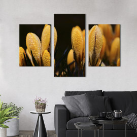 Картина триптих Жовті бутони крокусів 66x40 см (797-32)