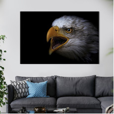 Тварини