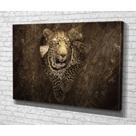 Картина Африканський леопард 51x34 см (713)