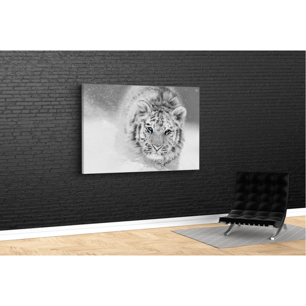 Картина Сніговий тигр 51x34 см (543)