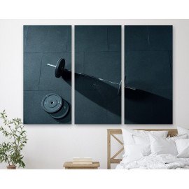 Картина Штанга 78x48 см (M3_M_210)