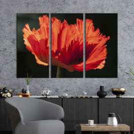 Картина Ажурний червоний мак 78x48 см (969-31)