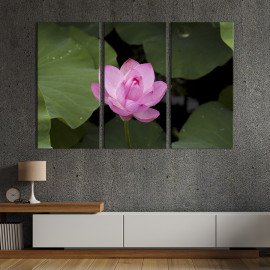 Картина Маленький рожевий лотос 78x48 см (891-31)