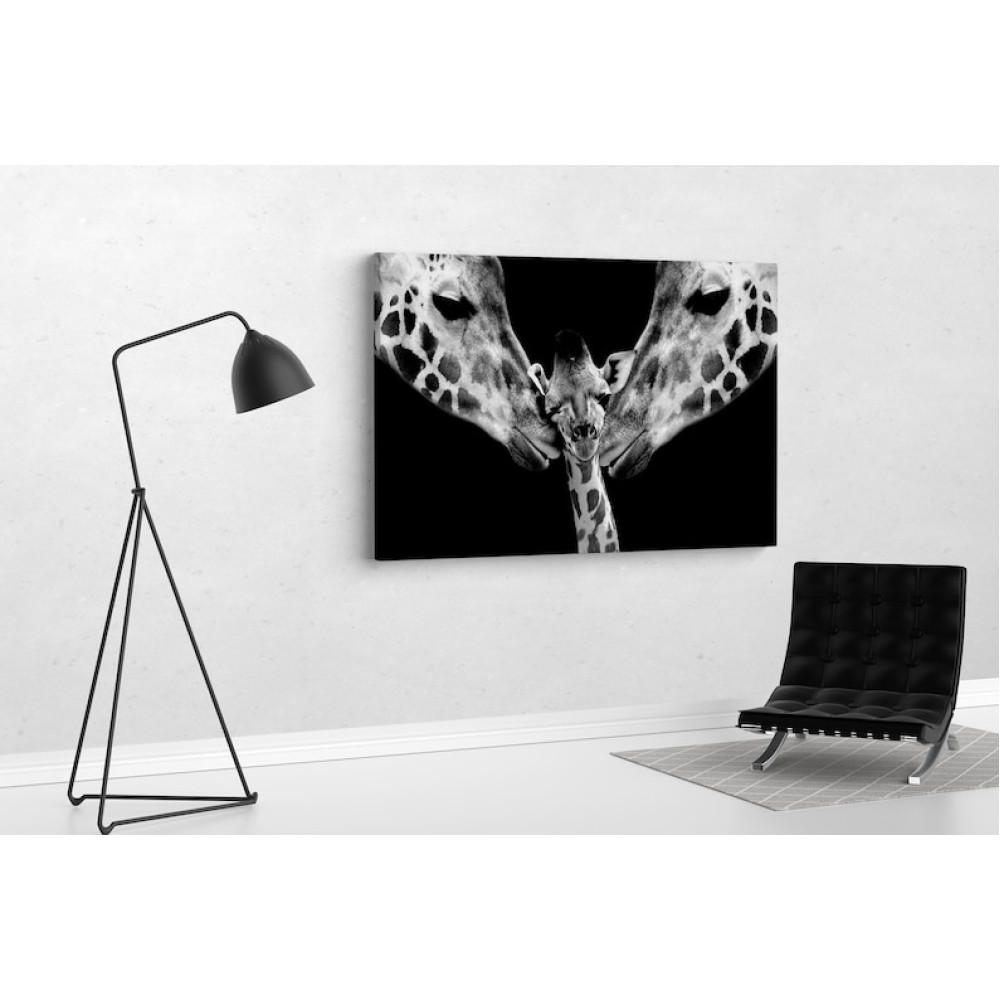 Картина дитячу Маленький жираф з батьками 51x34 см (474)