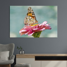 Картина тварини Метелик будяковий 51x34 см (1751-1)