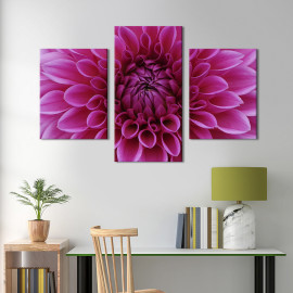 Картина триптих Велика рожева хризантема 66x40 см (799-32)