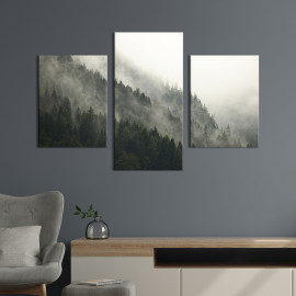 Картина Густий туман над лісом 66x40 см (572-32)