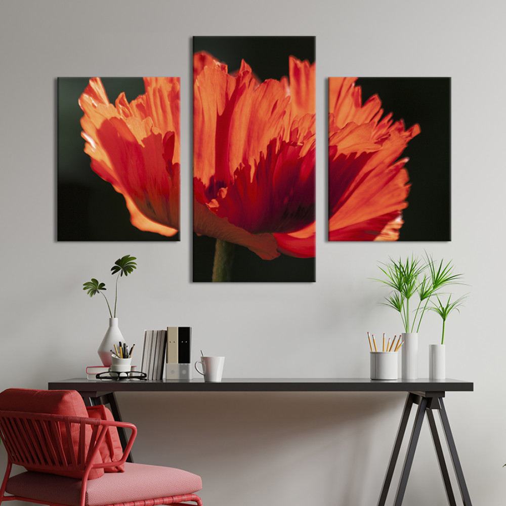 Картина триптих Ажурна квітка маку 66x40 см (969-32)