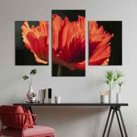 Картина триптих Ажурна квітка маку 66x40 см (969-32)