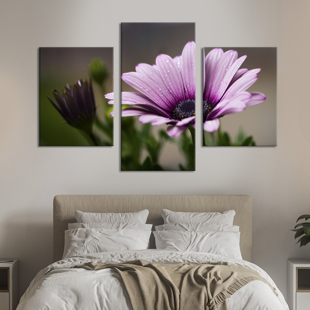 Картина триптих Чудова африканська ромашка 66x40 см (951-32)
