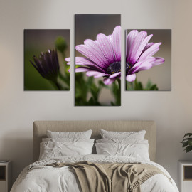 Картина триптих Чудова африканська ромашка 66x40 см (951-32)