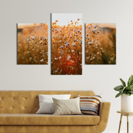 Картина триптих Дикі ромашки 66x40 см (927-32)