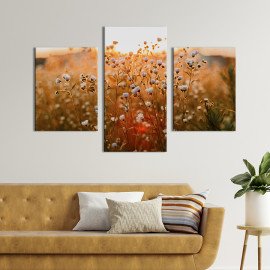 Картина триптих Дикі ромашки 66x40 см (927-32)