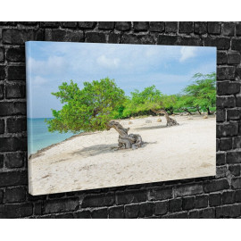 Картина Дерева на березі моря 51x34 см (764)