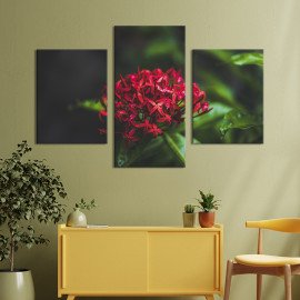 Картина триптих Червона тропічна квітка 66x40 см (913-32)