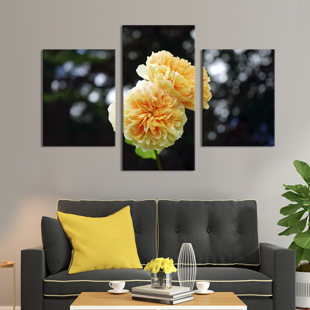 Картина триптих Красиві кремові хризантеми 66x40 см (937-32)