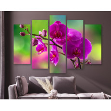 Квіти