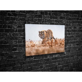 Картина Сибірський тигр 51x34 см (587)